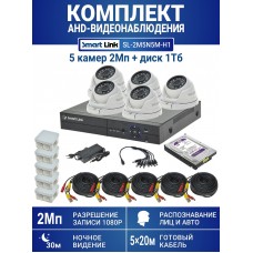 Уличный комплект видеонаблюдения 2Мп на 5 камер: антивандальные видеокамеры, жёсткий диск 1Tb, распознавание лиц и авто, удалённое наблюдение - для дома/дачи/бизнеса. Smart Link SL-2M5N5M-H1.