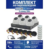 Уличный комплект видеонаблюдения 5Мп на 6 камер: антивандальные видеокамеры, запись на жёсткий диск, распознавание лиц и авто, удалённое наблюдение - для дома/дачи/бизнеса. Smart Link SL-5M5N6M.